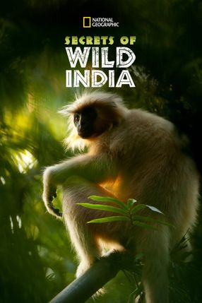 Poster: Secrets of Wild India