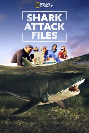 Poster: Shark Attack Files