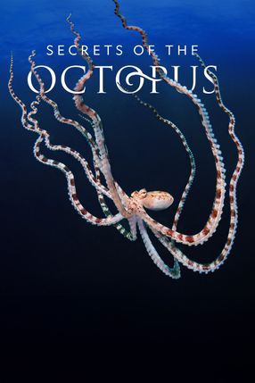 Poster: Die geheimnisvolle Welt der Oktopusse