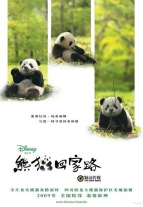 Poster: Trail of the Panda