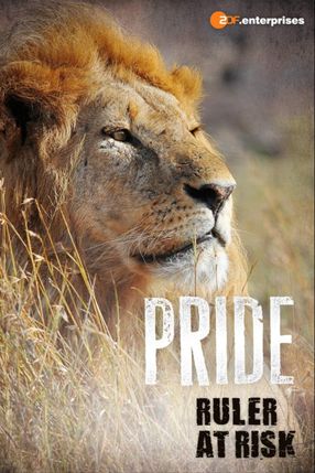 Poster: Löwen - Das wahre Leben der Raubkatzen
