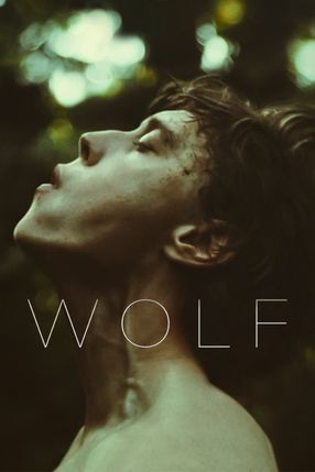 Poster: Wolf (US)