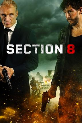 Poster: Section 8