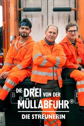 Poster: Die Drei von der Müllabfuhr - Die Streunerin