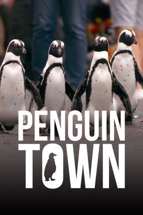 Poster: Penguin Town