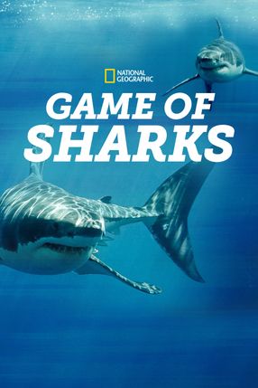 Poster: Game of Sharks