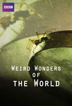 Poster: Weird Wonders of the World