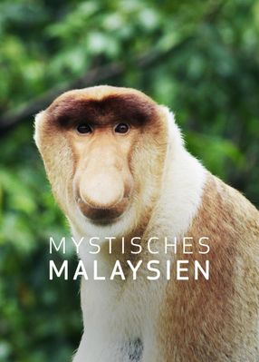 Poster: Mystisches Malaysien