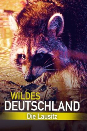 Poster: Wildes Deutschland: Die Lausitz