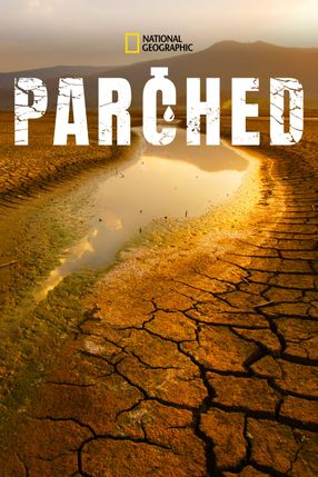 Poster: Parched