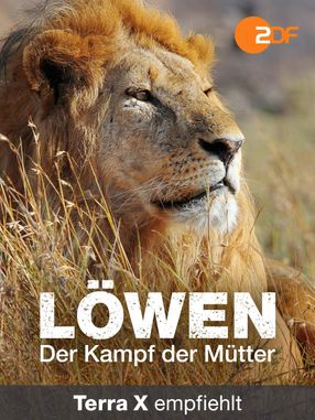 Poster: Löwen - Der Kampf der Mütter