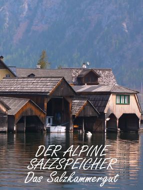 Poster: Der alpine Salzspeicher