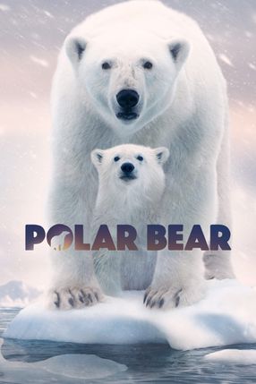 Poster: Eisbären