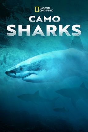 Poster: Camo Sharks