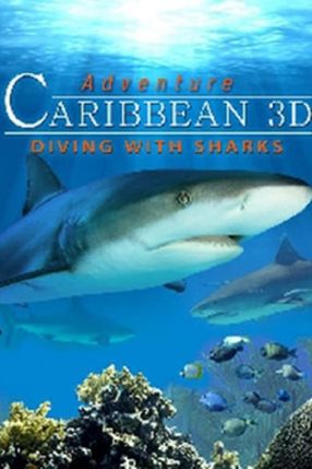 Poster: Abenteuer Karibik 3D: Tauchen Mit Den Haien