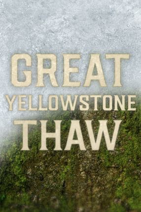 Poster: Yellowstone Nationalpark