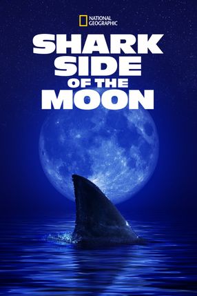 Poster: Shark Side of the Moon