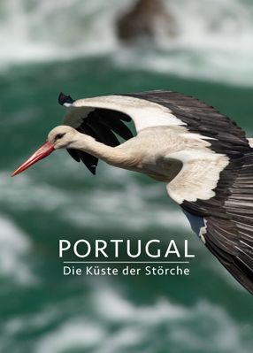 Poster: Portugal - Die Küste der Störche