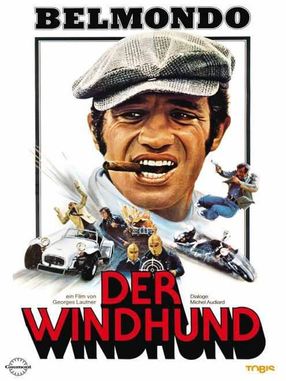 Poster: Der Windhund