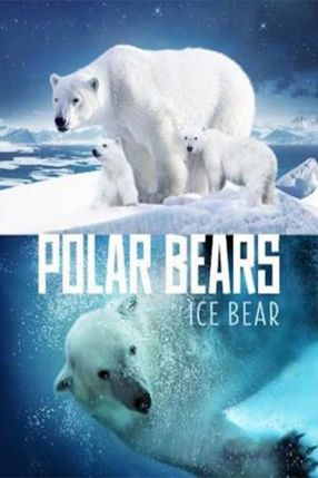Poster: Polar Bears: Ice Bear
