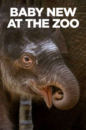 Poster: Baby New at the Zoo