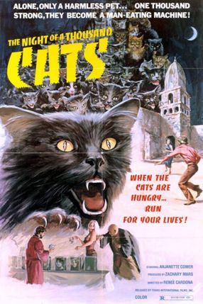 Poster: Die Rache der 1000 Katzen