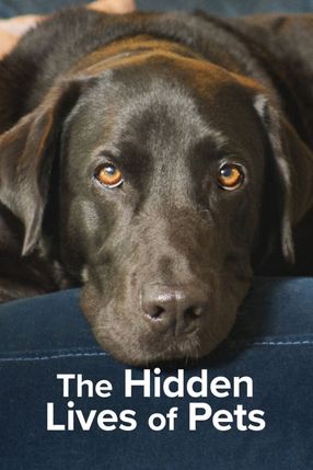 Poster: Die verborgenen Fähigkeiten unserer Haustiere