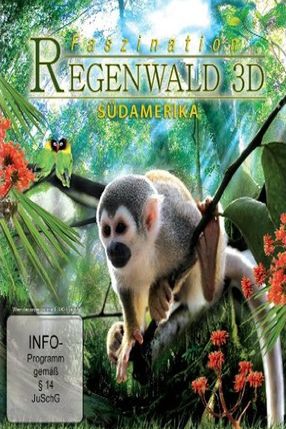 Poster: Faszination Südamerika - Regenwald 3D