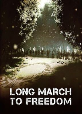 Poster: Long March to Freedom