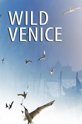 Poster: Wildes Venedig