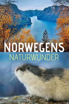 Poster: Norwegens Naturwunder