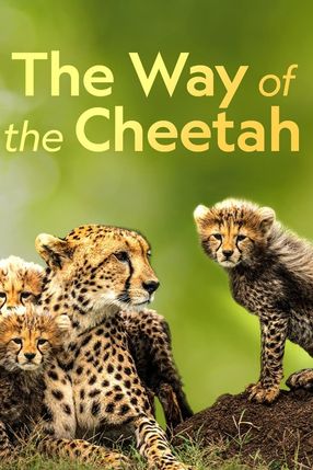 Poster: The Way of the Cheetah