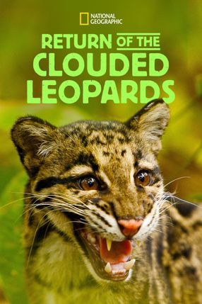 Poster: Return of the Clouded Leopards
