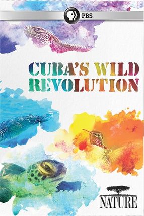 Poster: Cuba's Wild Revolution