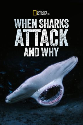 Poster: When Sharks Attack... and Why