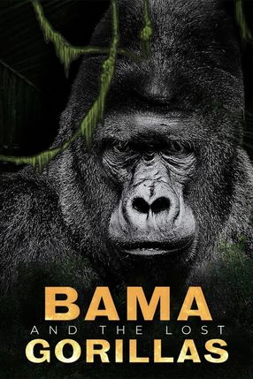 Poster: Bama, der Gorillamann - Abenteuer in Kamerun