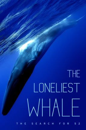 Poster: Der einsamste Wal der Welt