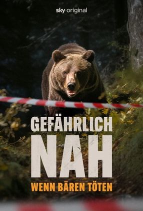 Poster: Gefährlich nah - Wenn Bären töten