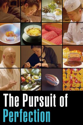 Poster: The Pursuit Of Perfection