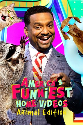 Poster: America's Funniest Home Videos: Animal Edition