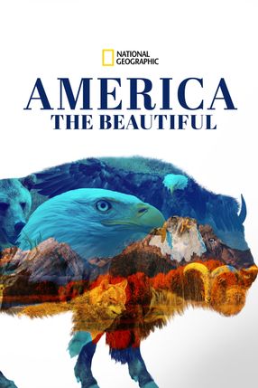 Poster: Das schöne Amerika