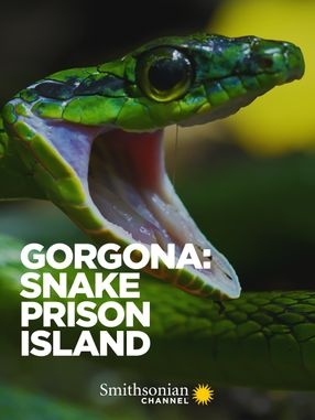 Poster: Gorgona: Snake Prison Island