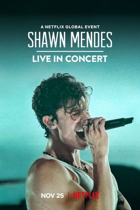 Poster: Shawn Mendes: Live in Concert