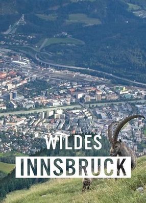 Poster: Wildes Innsbruck: Zwischen Moderne und alpiner Wildnis