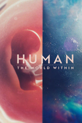 Poster: Der Mensch: Innere Welten