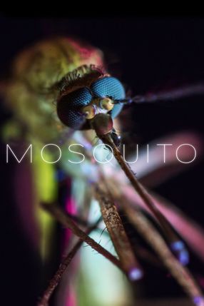 Poster: Mosquito