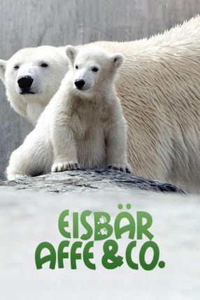 Poster: Eisbär, Affe & Co.