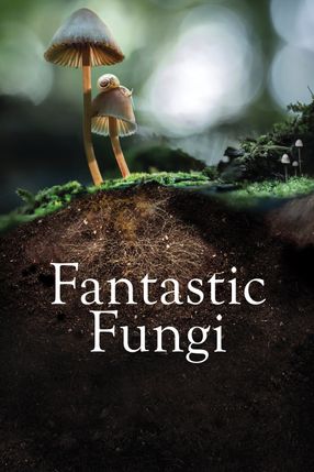 Poster: Fantastic Fungi