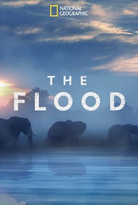Poster: The Flood