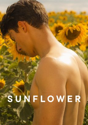 Poster: Sunflower